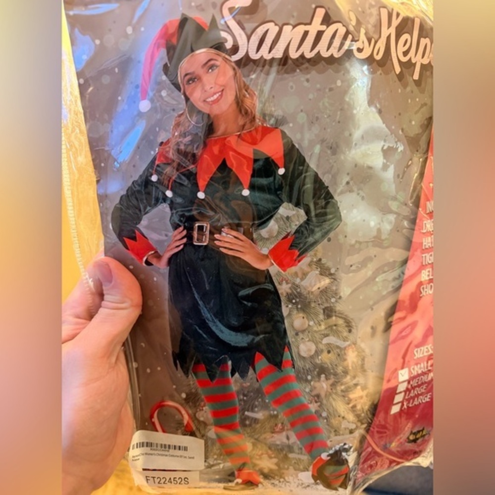 Women’s Era Spooky Santa’s Helper Elf Costume Christmas Outfit
